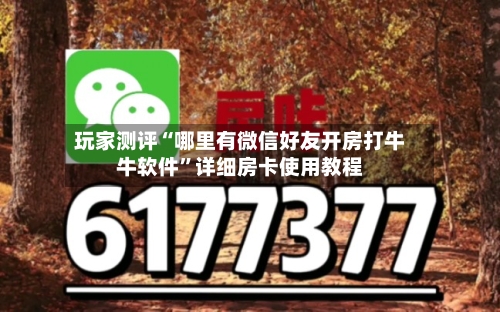 玩家测评“哪里有微信好友开房打牛牛软件”详细房卡使用教程