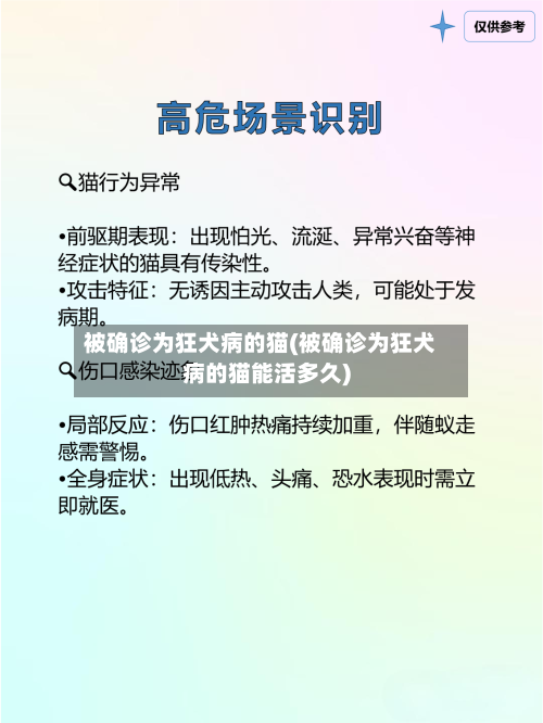 被确诊为狂犬病的猫(被确诊为狂犬病的猫能活多久)-第2张图片