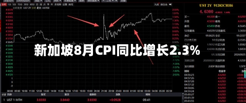 新加坡8月CPI同比增长2.3%-第2张图片