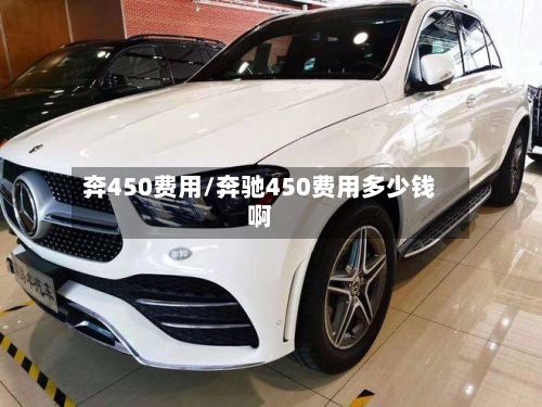 奔450费用/奔驰450费用多少钱啊-第2张图片
