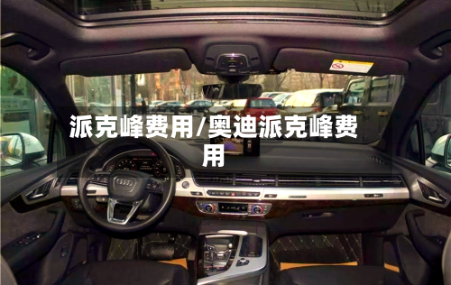 派克峰费用/奥迪派克峰费用-第3张图片