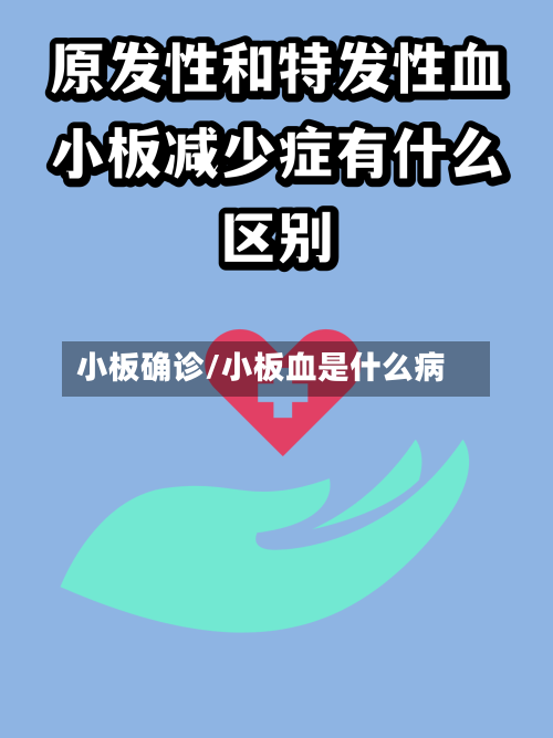 小板确诊/小板血是什么病