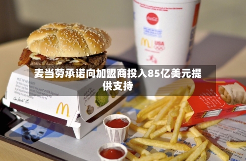 麦当劳承诺向加盟商投入85亿美元提供支持-第2张图片