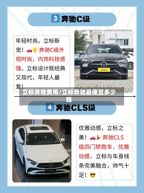 立标奔驰费用/立标奔驰最便宜多少钱-第3张图片