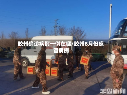 胶州确诊病例一例在哪/胶州8月份感冒病例-第2张图片
