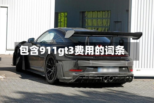 包含911gt3费用的词条-第2张图片