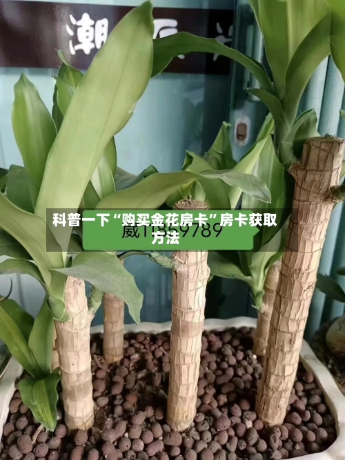 科普一下“购买金花房卡”房卡获取方法