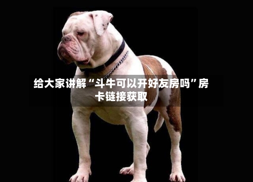 给大家讲解“斗牛可以开好友房吗	”房卡链接获取-第2张图片
