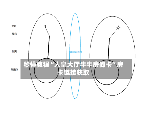 秒懂教程“人皇大厅牛牛房间卡	”房卡链接获取-第2张图片
