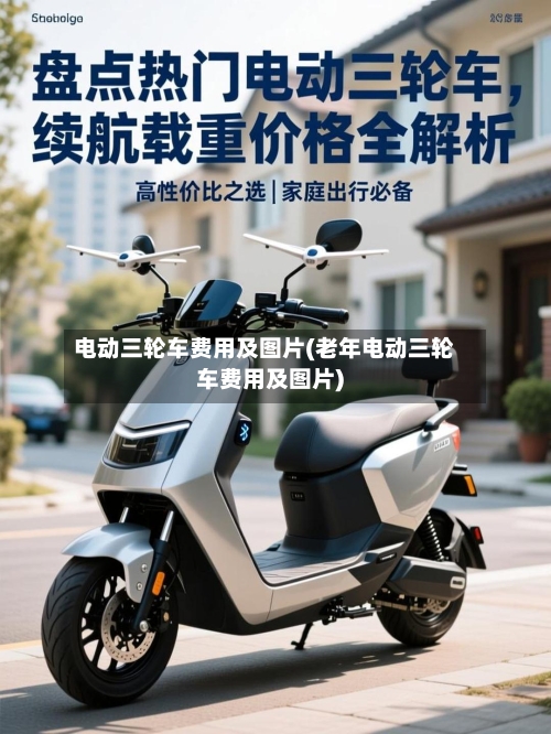 电动三轮车费用及图片(老年电动三轮车费用及图片)