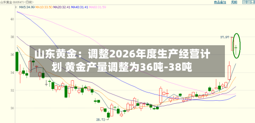 山东黄金：调整2026年度生产经营计划 黄金产量调整为36吨-38吨