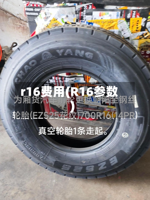 r16费用(R16参数)