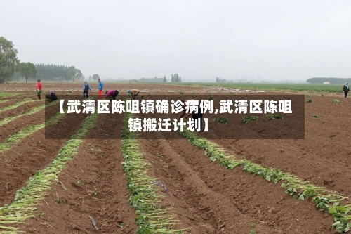 【武清区陈咀镇确诊病例,武清区陈咀镇搬迁计划】-第2张图片