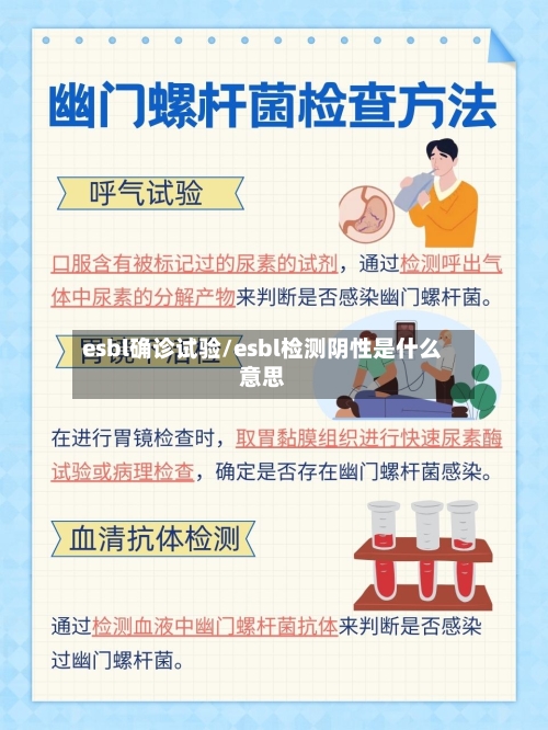 esbl确诊试验/esbl检测阴性是什么意思-第2张图片
