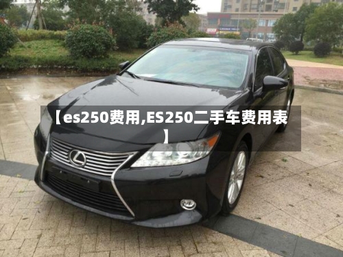 【es250费用,ES250二手车费用表】-第2张图片