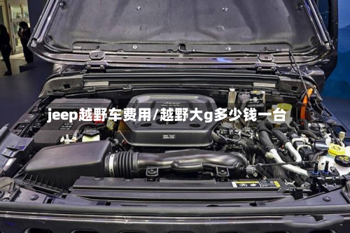 jeep越野车费用/越野大g多少钱一台