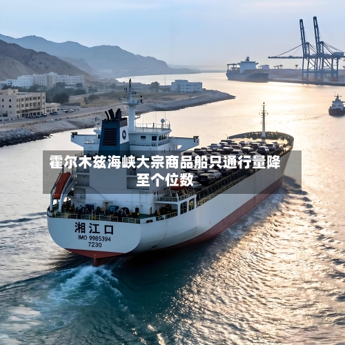 霍尔木兹海峡大宗商品船只通行量降至个位数