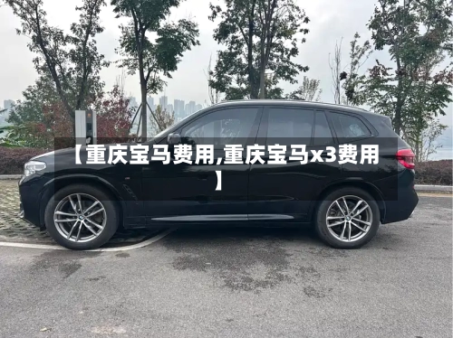 【重庆宝马费用,重庆宝马x3费用】-第2张图片