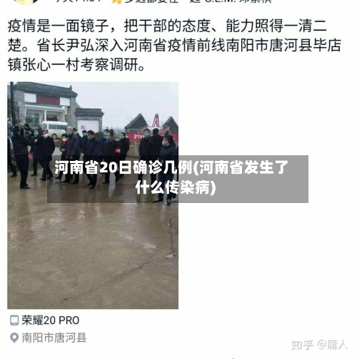 河南省20日确诊几例(河南省发生了什么传染病)-第2张图片