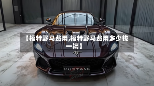 【福特野马费用,福特野马费用多少钱一辆】-第2张图片
