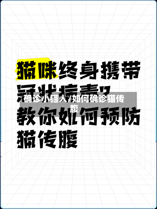 确诊小猫人/如何确诊猫传腹-第3张图片