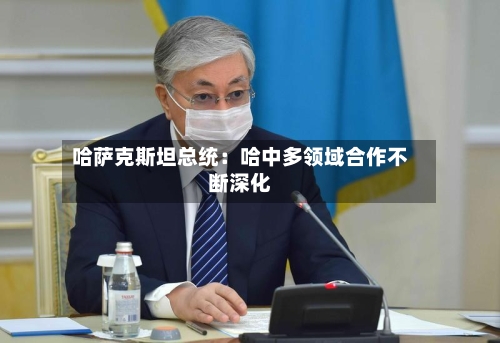 哈萨克斯坦总统:哈中多领域合作不断深化