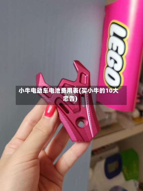 小牛电动车电池费用表(买小牛的10大忠告)