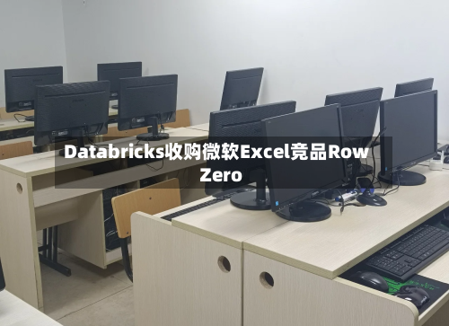 Databricks收购微软Excel竞品Row Zero-第2张图片