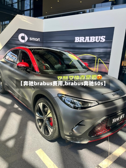 【奔驰brabus费用,brabus奔驰50s】
