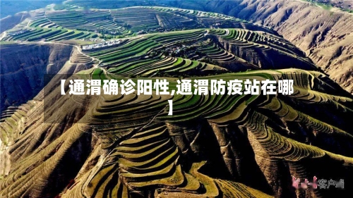 【通渭确诊阳性,通渭防疫站在哪】-第3张图片