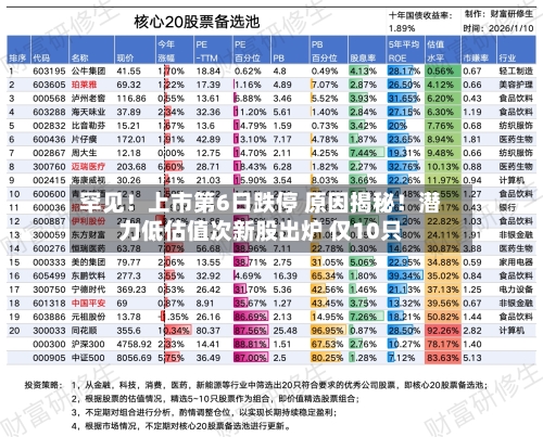 罕见！上市第6日跌停 原因揭秘！潜力低估值次新股出炉 仅10只-第2张图片