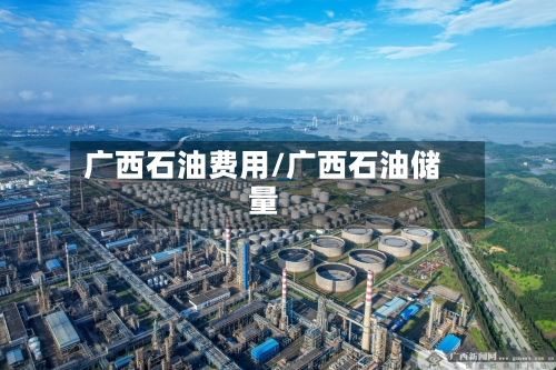 广西石油费用/广西石油储量