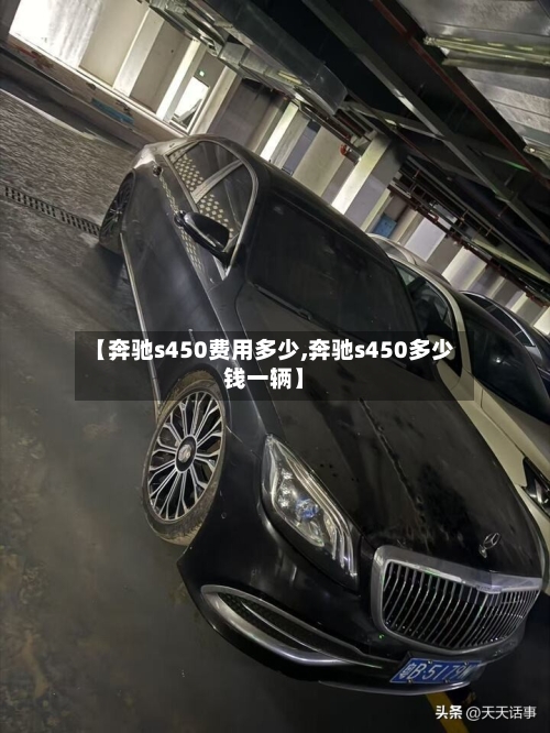 【奔驰s450费用多少,奔驰s450多少钱一辆】-第2张图片