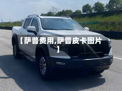 【萨普费用,萨普皮卡图片】