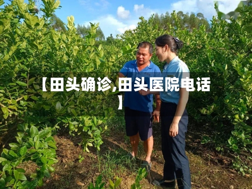 【田头确诊,田头医院电话】-第2张图片