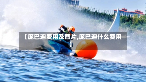 【庞巴迪费用及图片,庞巴迪什么费用】-第3张图片