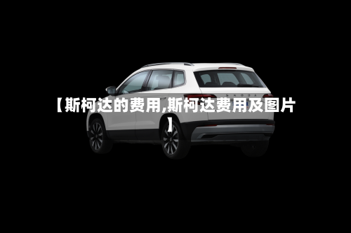【斯柯达的费用,斯柯达费用及图片】-第3张图片