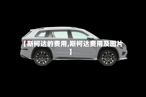 【斯柯达的费用,斯柯达费用及图片】