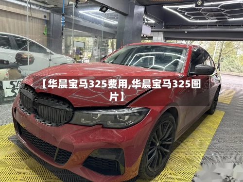 【华晨宝马325费用,华晨宝马325图片】-第2张图片