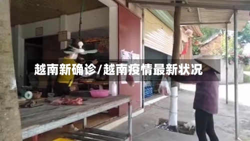 越南新确诊/越南疫情最新状况