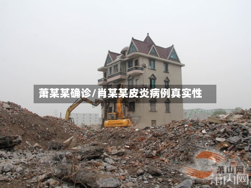 萧某某确诊/肖某某皮炎病例真实性-第2张图片