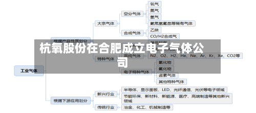杭氧股份在合肥成立电子气体公司-第2张图片