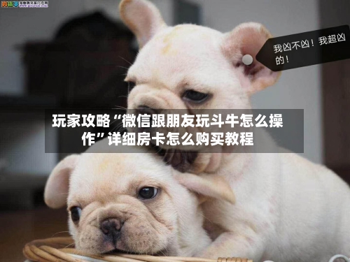 玩家攻略“微信跟朋友玩斗牛怎么操作”详细房卡怎么购买教程-第2张图片