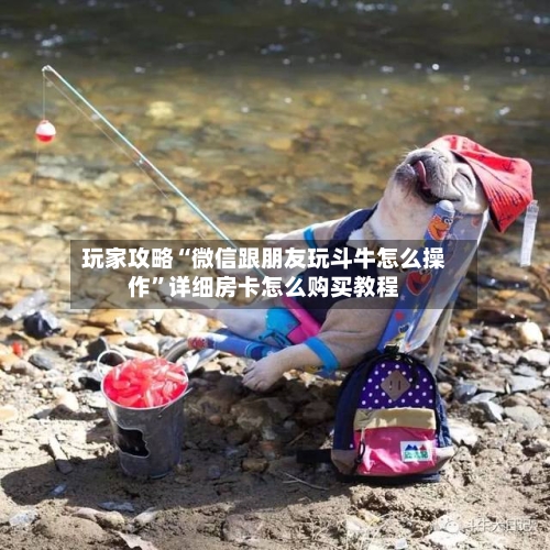 玩家攻略“微信跟朋友玩斗牛怎么操作	”详细房卡怎么购买教程-第3张图片