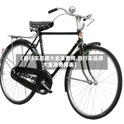 【自行车品牌大全及费用,自行车品牌大全及费用表】-第2张图片