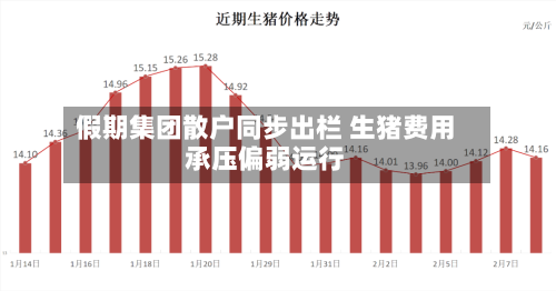 假期集团散户同步出栏 生猪费用
承压偏弱运行-第3张图片