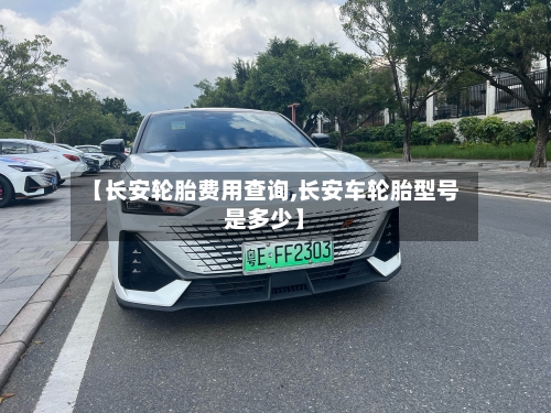 【长安轮胎费用查询,长安车轮胎型号是多少】-第3张图片