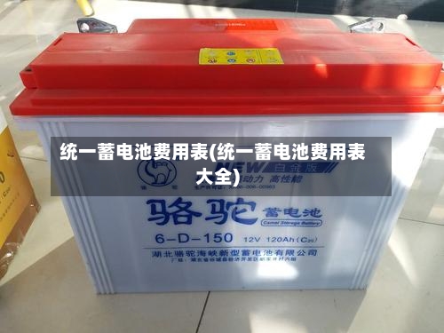 统一蓄电池费用表(统一蓄电池费用表大全)-第2张图片