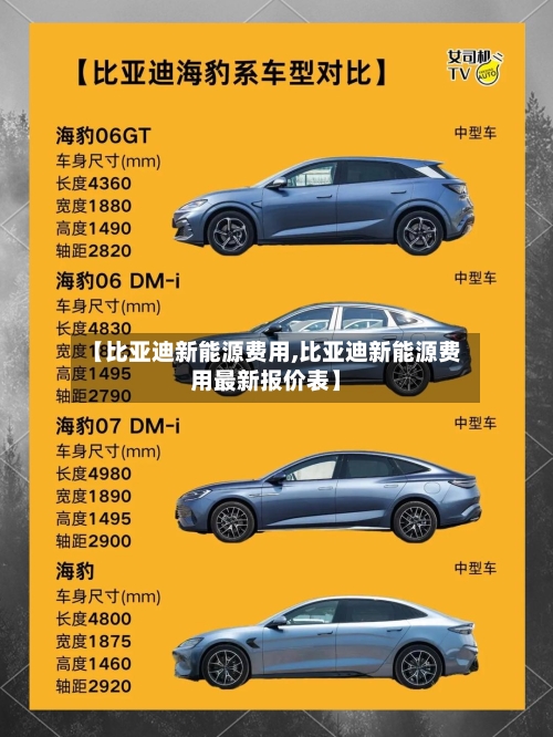 【比亚迪新能源费用,比亚迪新能源费用最新报价表】-第2张图片