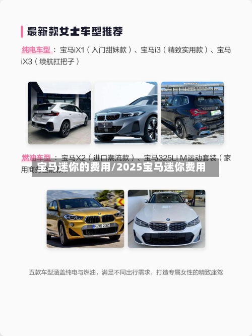 宝马迷你的费用/2025宝马迷你费用-第3张图片